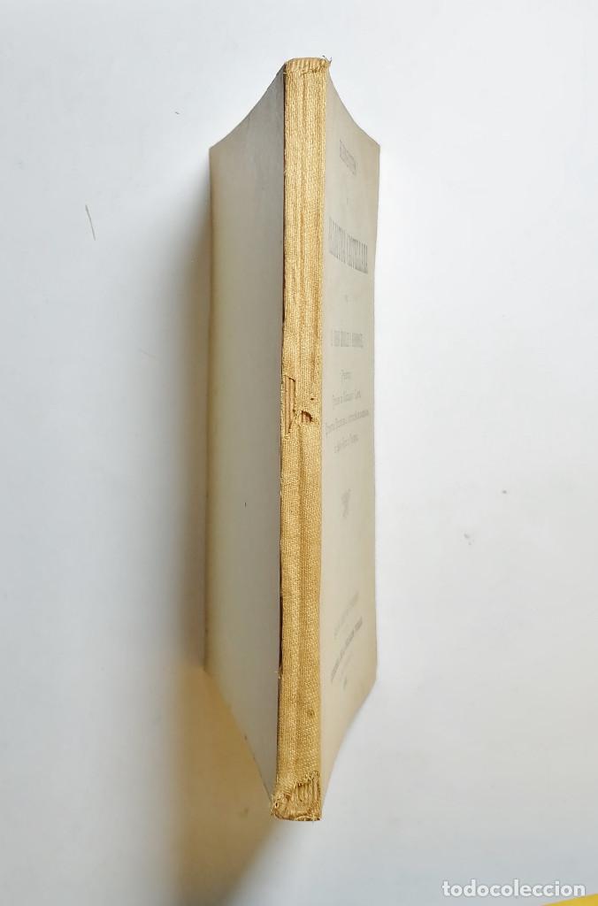 Libros antiguos: ELEMENTOS DE GRAM&Aacute;TICA CATELLANA. D. IRENEO GONZ&Aacute;LEZ Y HERN&Aacute;NDEZ. 1901. - Foto 11