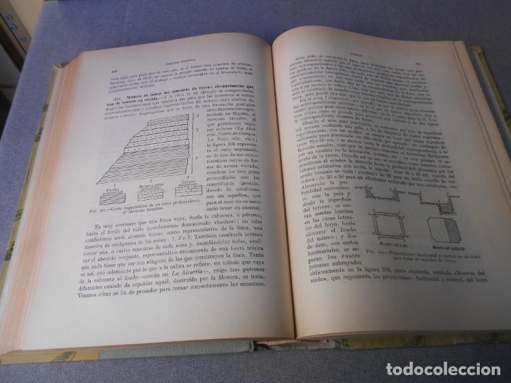 Libros antiguos: ANALISIS AGRICOLA - Foto 6