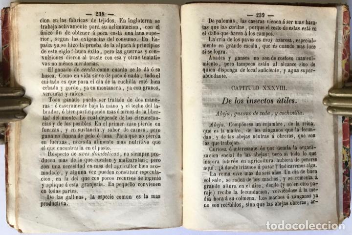 Libros antiguos: MANUAL DE AGRICULTURA. - OLIVAN, Alejandro. - Foto 6