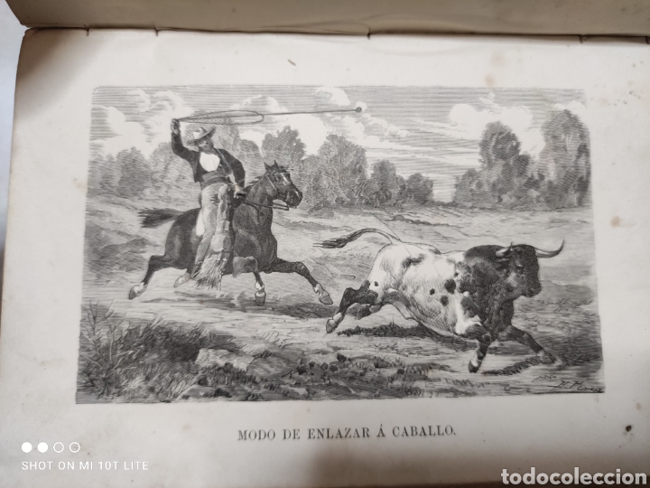 Libros antiguos: EL TOREO. J. SANCHEZ DE NEIRA 1870 - Foto 10