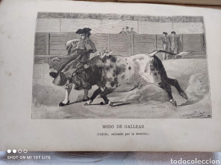Libros antiguos: EL TOREO. J. SANCHEZ DE NEIRA 1870 - Foto 14