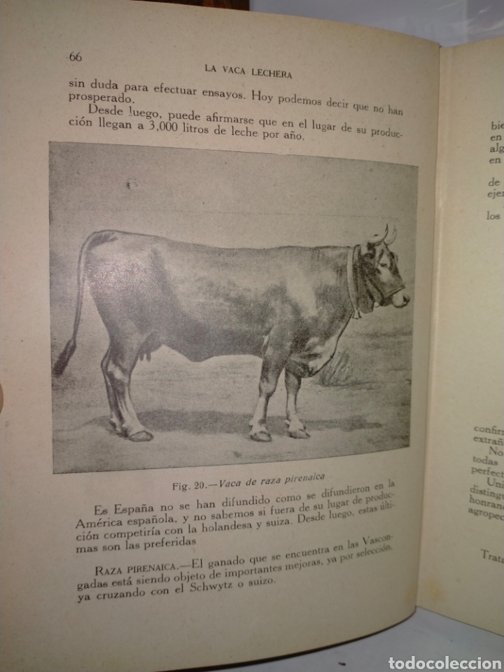 Libros antiguos: Santos Ar&aacute;n.LA VACA LECHERA.Editorial Araluce - Foto 3