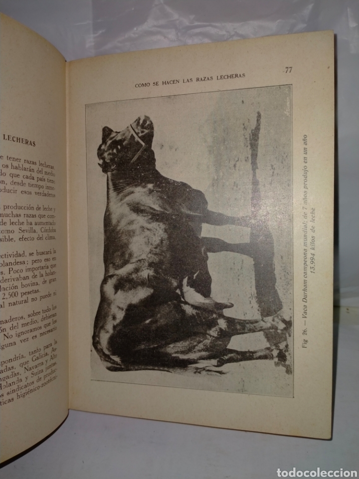 Libros antiguos: Santos Ar&aacute;n.LA VACA LECHERA.Editorial Araluce - Foto 4