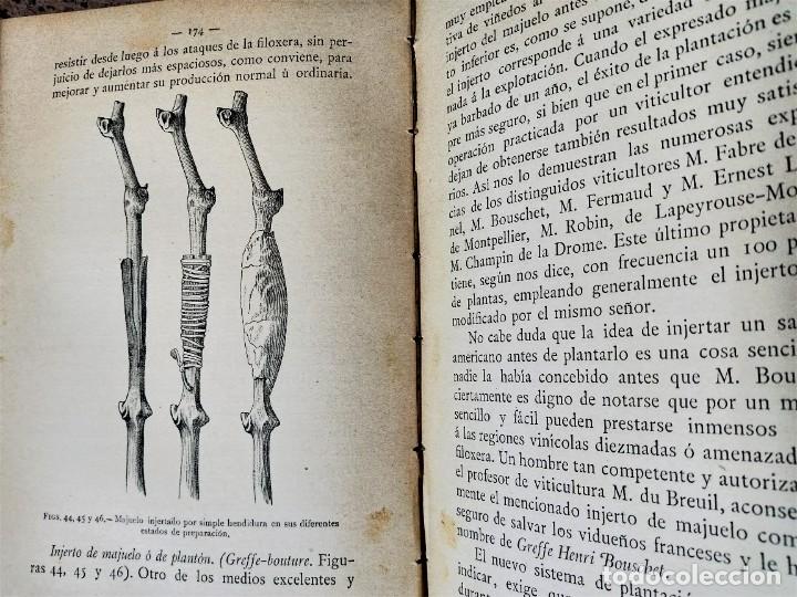 Libri antichi: Vinos - 1866 - VITICULTURA Y ENOLOG&Iacute;A ESPA&Ntilde;OLA. Tratado sobre el cultivo de la vid y - so5a