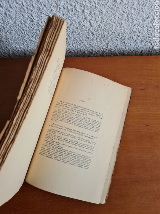 Libros antiguos: Gram&agrave;tica Hist&ograve;rica del Catal&agrave; Antic - A. Griera - Any 1931 - Foto 29