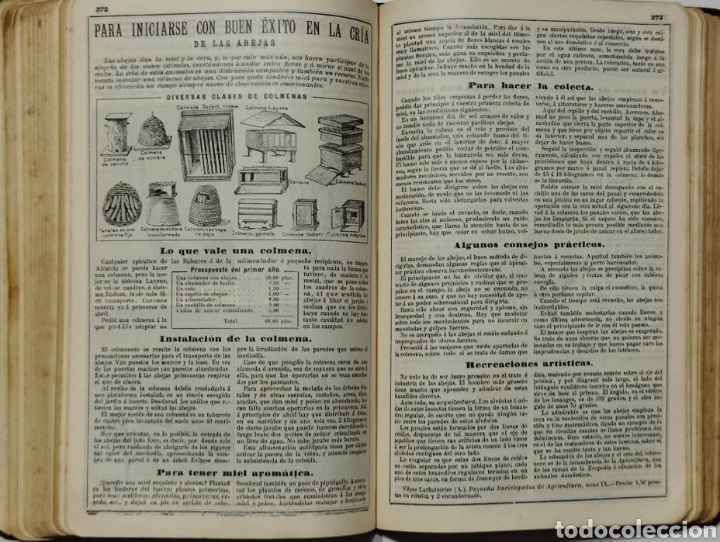 Libros antiguos: Almanaque Bailly- Bailliere .1910. - Foto 7