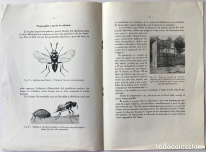 Libros antiguos: &rdquo;APHELINUS MALI&rdquo; Y SU DIFUSI&Oacute;N EN ESPA&Ntilde;A. - NONELL COMAS, Jaime. - Foto 3