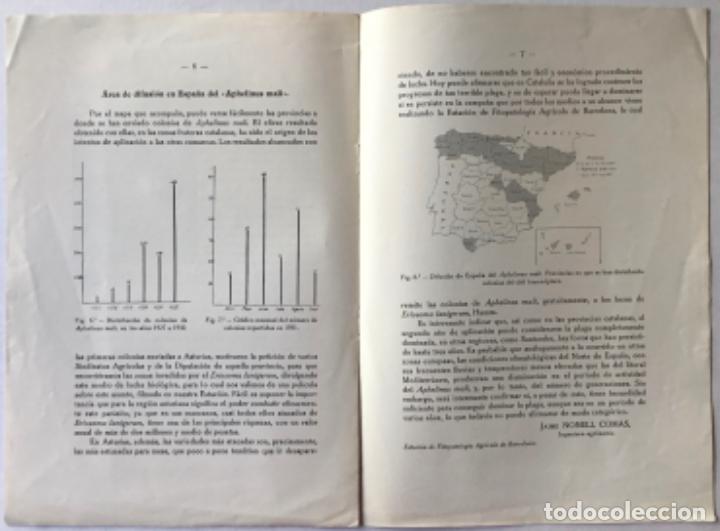 Libros antiguos: &rdquo;APHELINUS MALI&rdquo; Y SU DIFUSI&Oacute;N EN ESPA&Ntilde;A. - NONELL COMAS, Jaime. - Foto 4