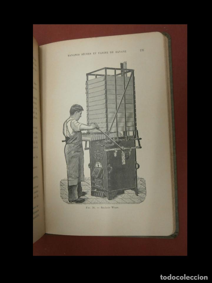 Libros antiguos: Le bananier. . Paul Hubert - Foto 3