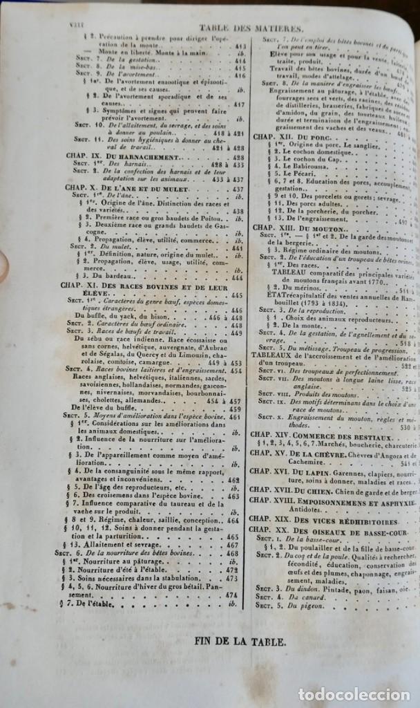 Libros antiguos: MAISON RUSTIQUE DU XIX SIECLE -ALXANDRE BIXO -1844 TOME SECOND - Foto 6
