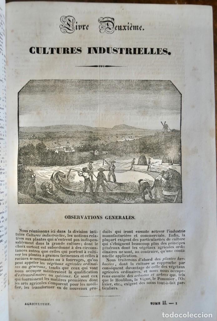 Libros antiguos: MAISON RUSTIQUE DU XIX SIECLE -ALXANDRE BIXO -1844 TOME SECOND - Foto 7