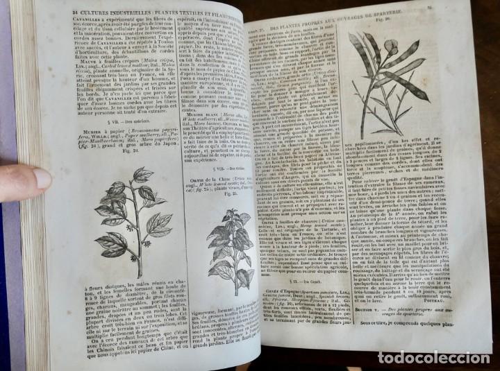 Libros antiguos: MAISON RUSTIQUE DU XIX SIECLE -ALXANDRE BIXO -1844 TOME SECOND - Foto 8