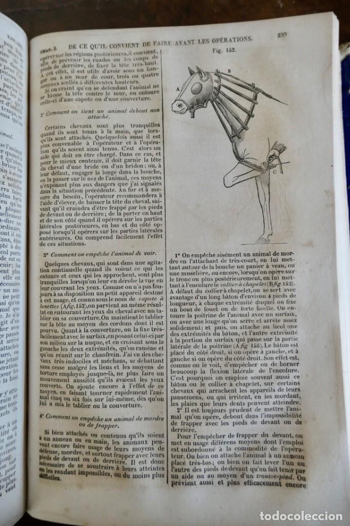 Libros antiguos: MAISON RUSTIQUE DU XIX SIECLE -ALXANDRE BIXO -1844 TOME SECOND - Foto 10