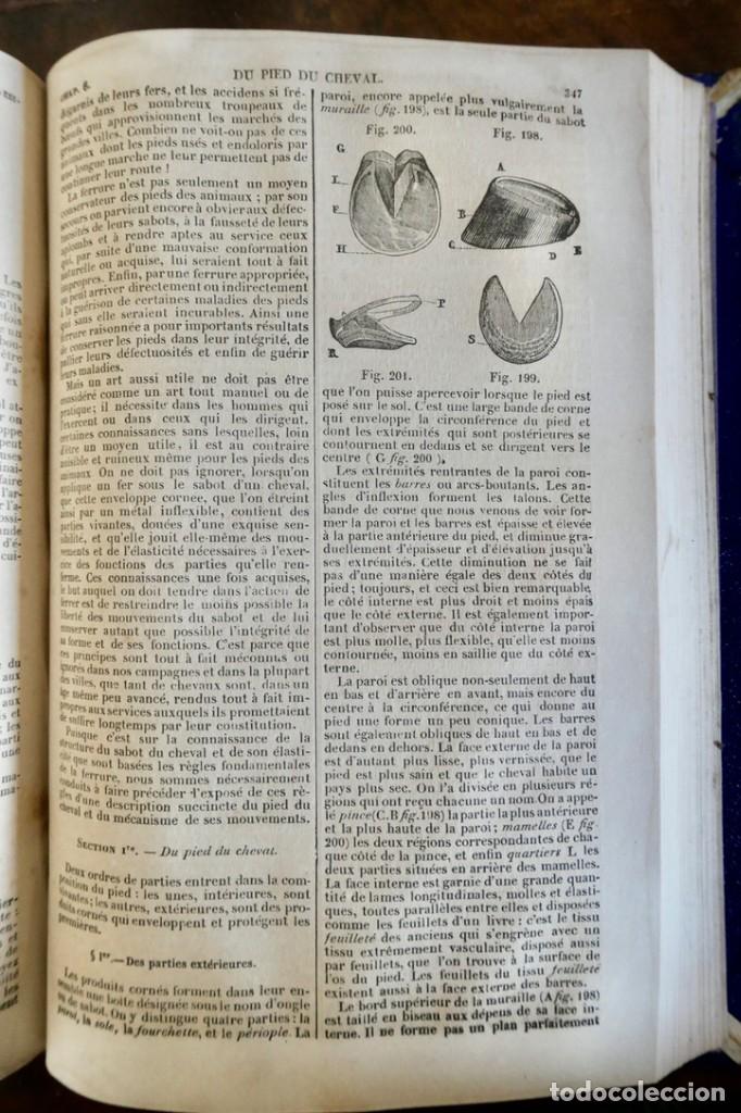 Libros antiguos: MAISON RUSTIQUE DU XIX SIECLE -ALXANDRE BIXO -1844 TOME SECOND - Foto 11