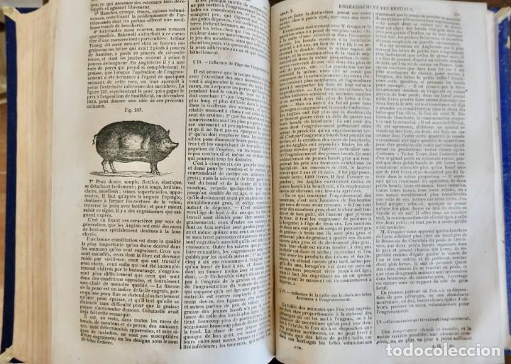 Libros antiguos: MAISON RUSTIQUE DU XIX SIECLE -ALXANDRE BIXO -1844 TOME SECOND - Foto 12