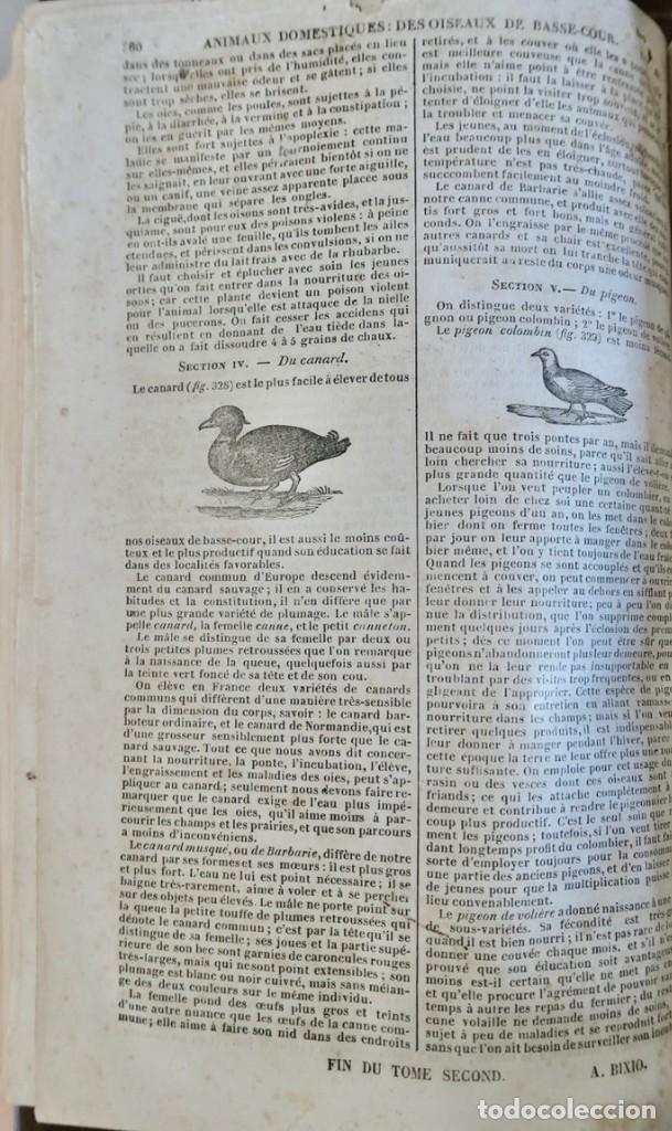 Libros antiguos: MAISON RUSTIQUE DU XIX SIECLE -ALXANDRE BIXO -1844 TOME SECOND - Foto 13