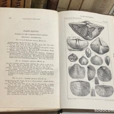 Libros antiguos: AÑO 1875 - FIGURES OF CHARACTERISTIC BRITISH FOSSILS POR WILLIAM HELLIER BAILY - FÓSILES 42 LÁMINAS. Lote 248442040