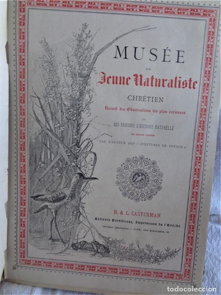 Libros antiguos: Mus&eacute;e du jeune Naturaliste Chr&eacute;tien - Foto 1