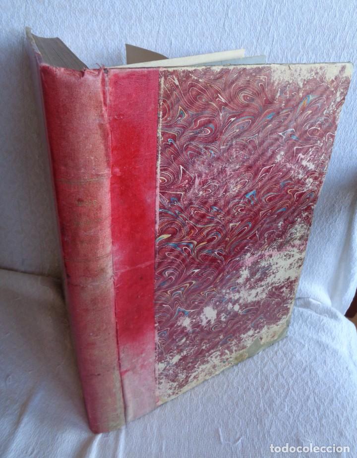 Libros antiguos: Mus&eacute;e du jeune Naturaliste Chr&eacute;tien - Foto 2
