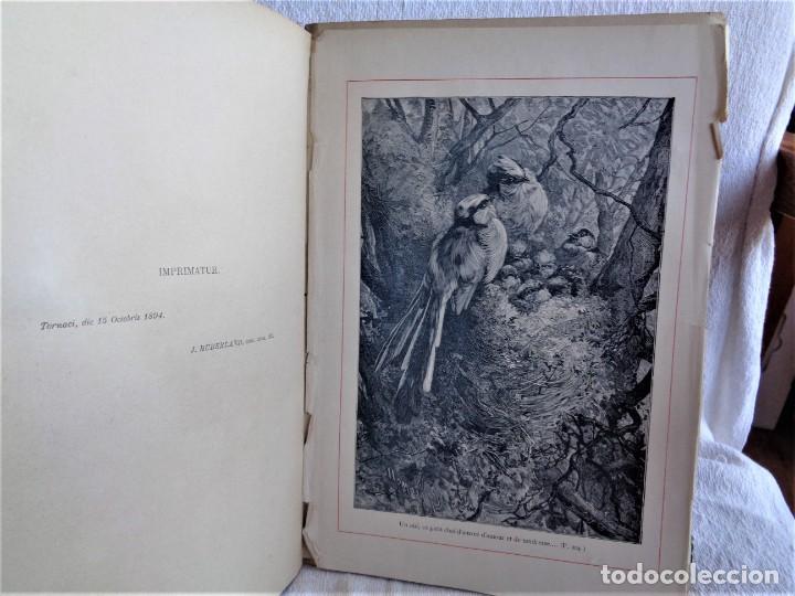 Libros antiguos: Mus&eacute;e du jeune Naturaliste Chr&eacute;tien - Foto 5