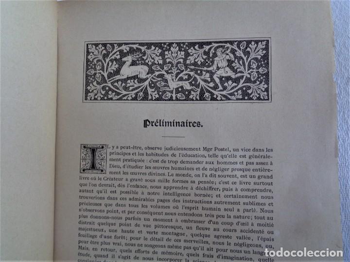 Libros antiguos: Mus&eacute;e du jeune Naturaliste Chr&eacute;tien - Foto 6