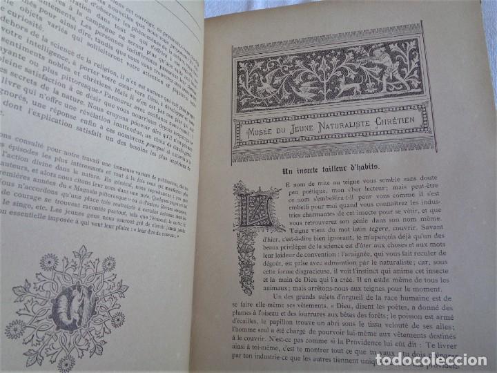 Libros antiguos: Mus&eacute;e du jeune Naturaliste Chr&eacute;tien - Foto 7
