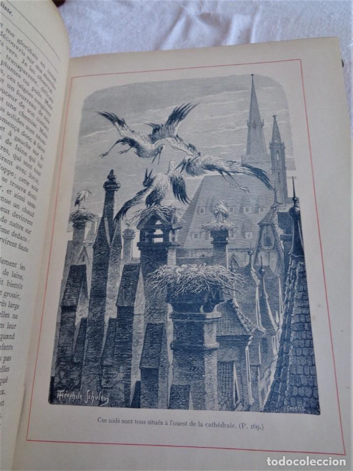 Libros antiguos: Mus&eacute;e du jeune Naturaliste Chr&eacute;tien - Foto 8