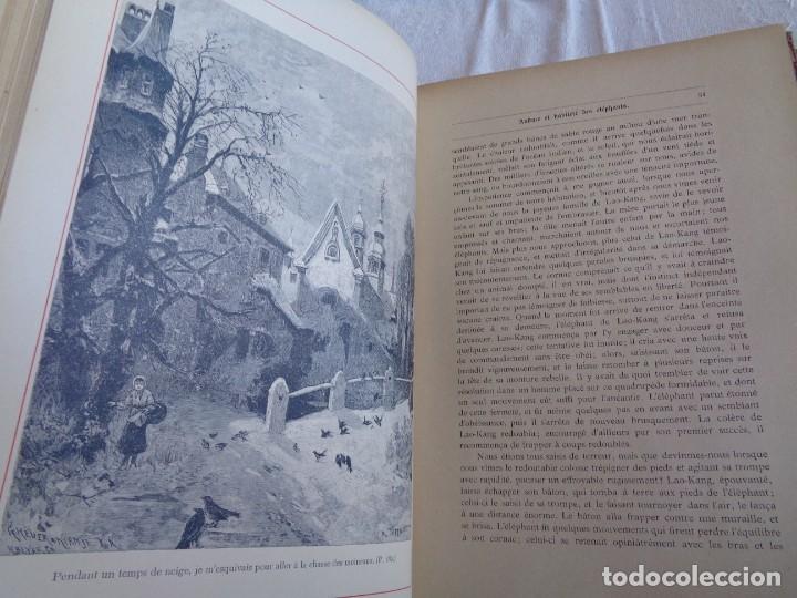 Libros antiguos: Mus&eacute;e du jeune Naturaliste Chr&eacute;tien - Foto 9