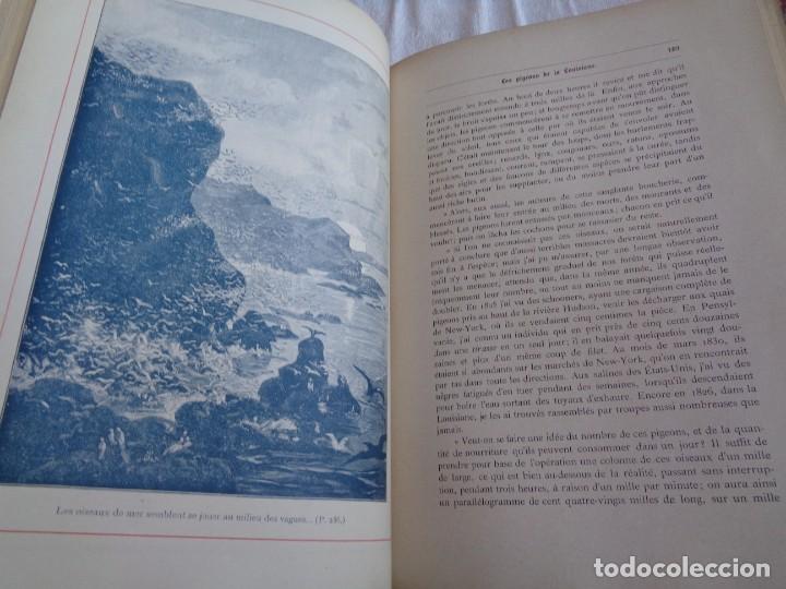 Libros antiguos: Mus&eacute;e du jeune Naturaliste Chr&eacute;tien - Foto 11
