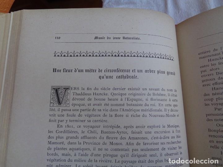 Libros antiguos: Mus&eacute;e du jeune Naturaliste Chr&eacute;tien - Foto 12