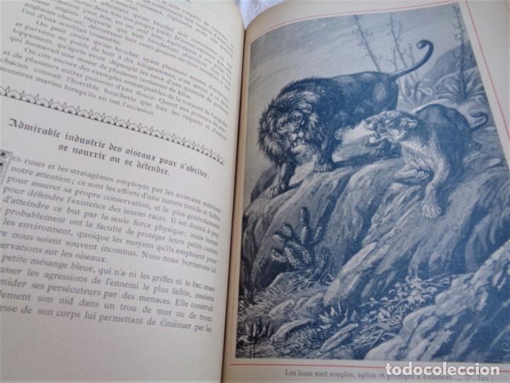 Libros antiguos: Mus&eacute;e du jeune Naturaliste Chr&eacute;tien - Foto 15