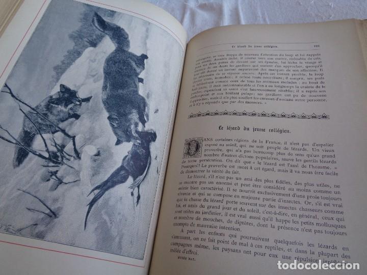 Libros antiguos: Mus&eacute;e du jeune Naturaliste Chr&eacute;tien - Foto 16
