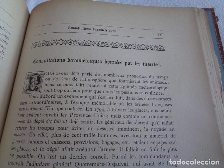 Libros antiguos: Mus&eacute;e du jeune Naturaliste Chr&eacute;tien - Foto 18