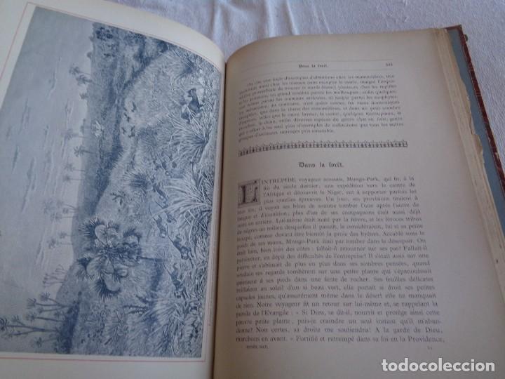 Libros antiguos: Mus&eacute;e du jeune Naturaliste Chr&eacute;tien - Foto 19