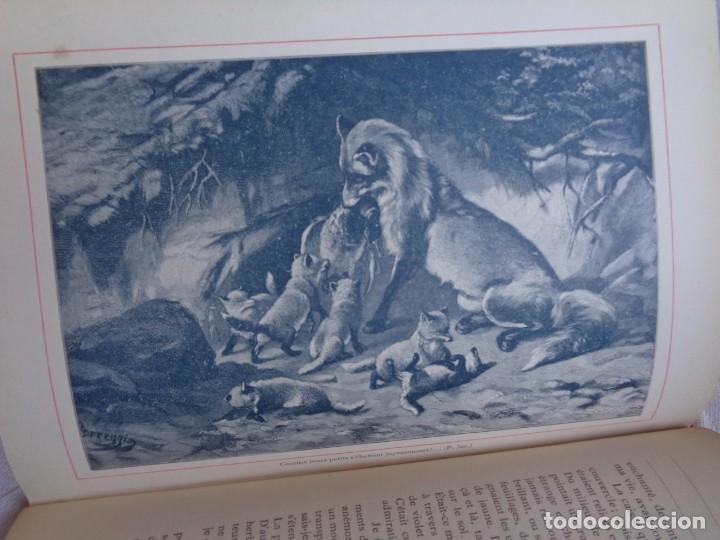 Libros antiguos: Mus&eacute;e du jeune Naturaliste Chr&eacute;tien - Foto 21