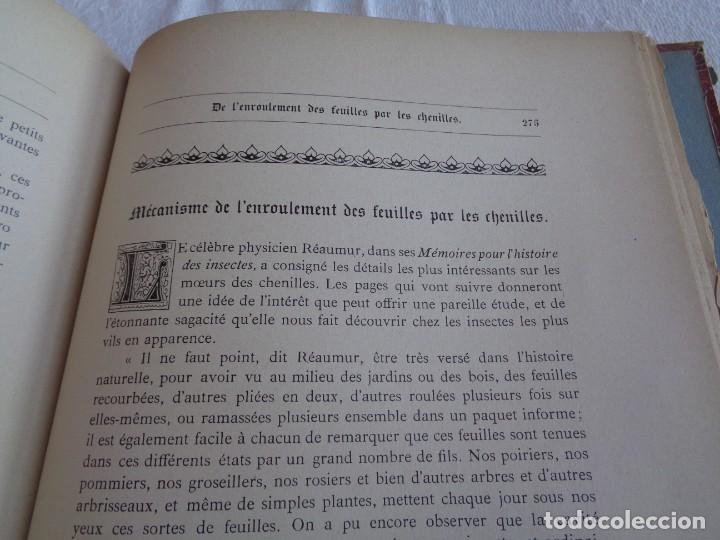 Libros antiguos: Mus&eacute;e du jeune Naturaliste Chr&eacute;tien - Foto 22