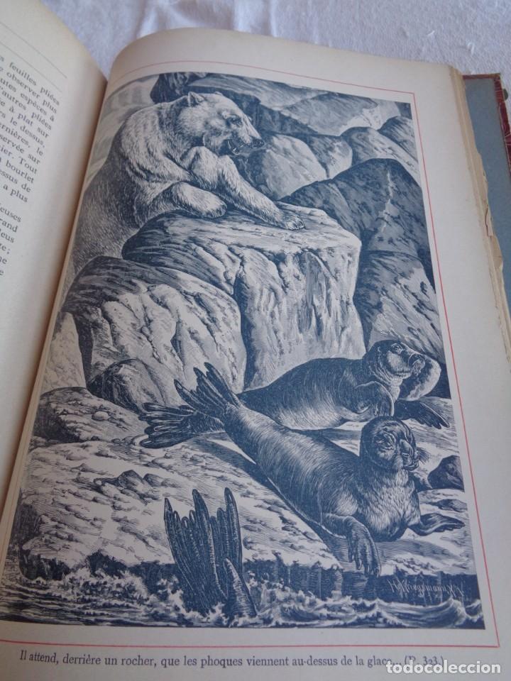 Libros antiguos: Mus&eacute;e du jeune Naturaliste Chr&eacute;tien - Foto 23