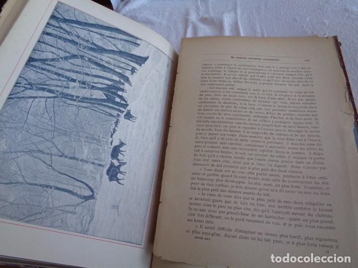 Libros antiguos: Mus&eacute;e du jeune Naturaliste Chr&eacute;tien - Foto 24