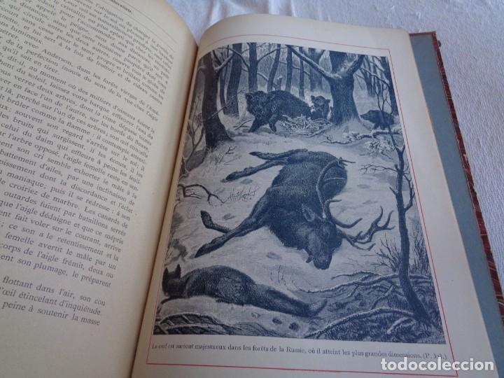 Libros antiguos: Mus&eacute;e du jeune Naturaliste Chr&eacute;tien - Foto 25