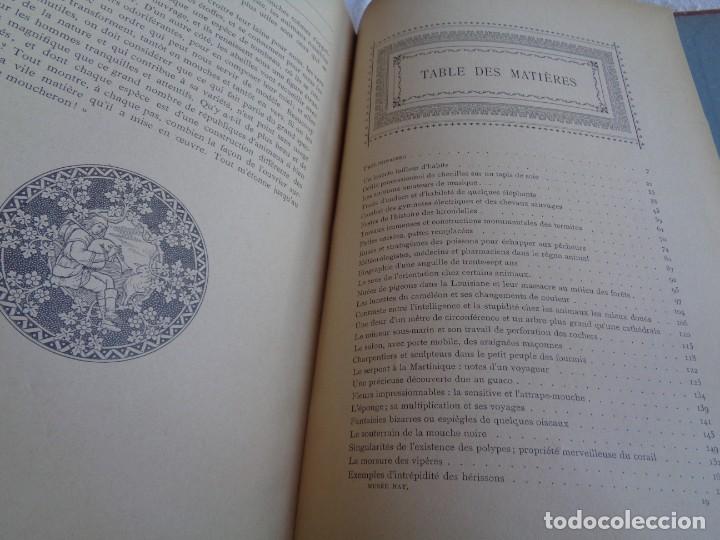 Libros antiguos: Mus&eacute;e du jeune Naturaliste Chr&eacute;tien - Foto 26
