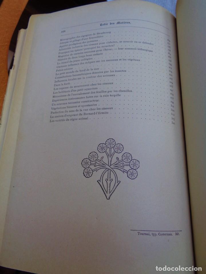 Libros antiguos: Mus&eacute;e du jeune Naturaliste Chr&eacute;tien - Foto 27