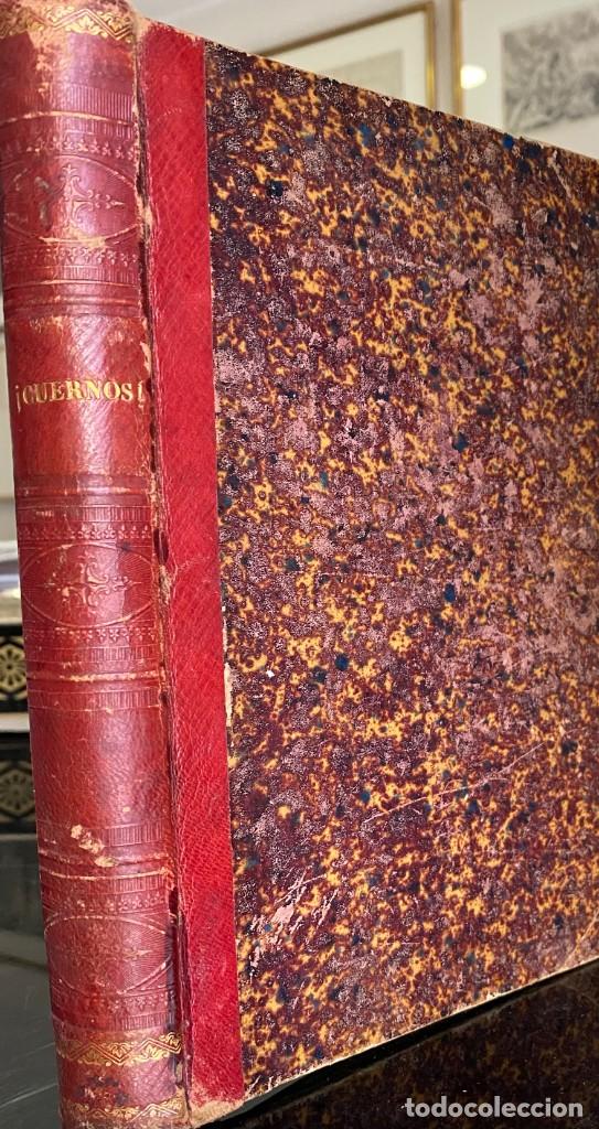 Libros antiguos: Antonio Pe&ntilde;a y Go&ntilde;i. &iexcl;Cuernos! 1883 - Foto 2