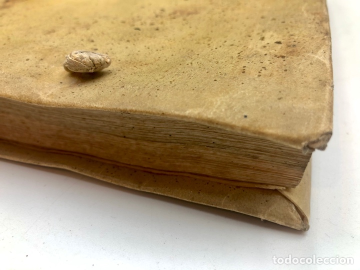 Libros antiguos: 1762, Constituciones Gobierno Capilla Real de Granada. Catalan de Ocon - Foto 12
