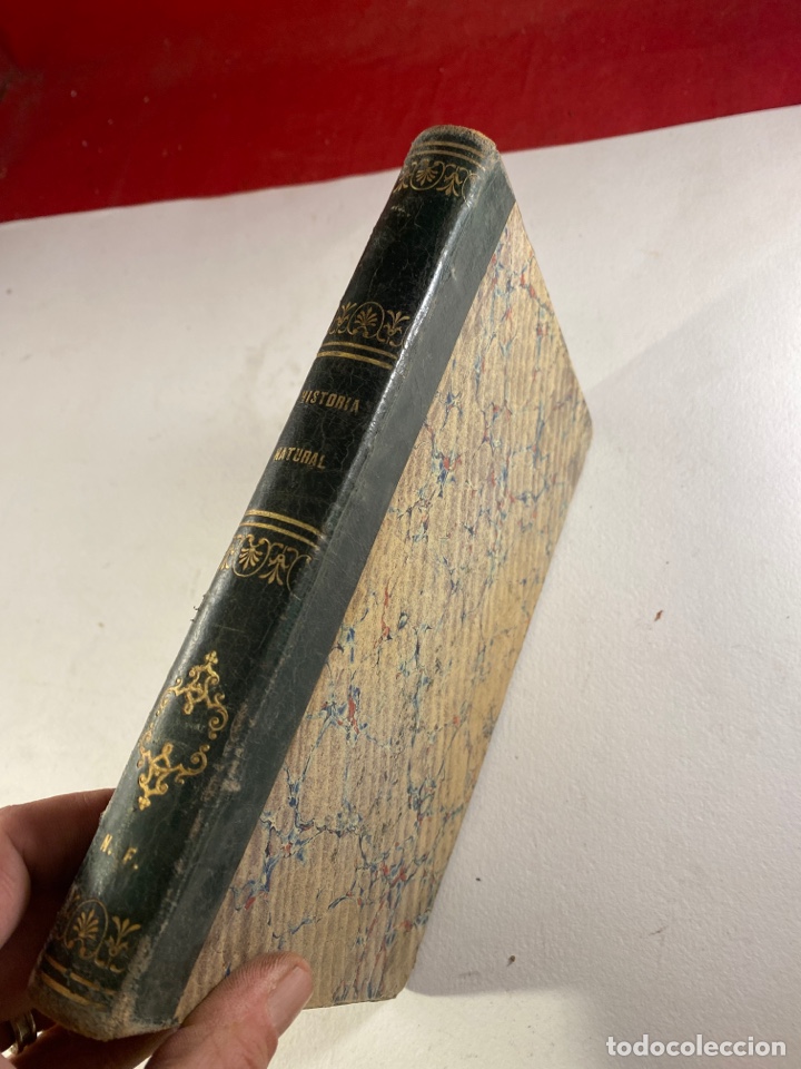 Libros antiguos: MANUAL DE HISTORIA NATURAL 1860 - Foto 2