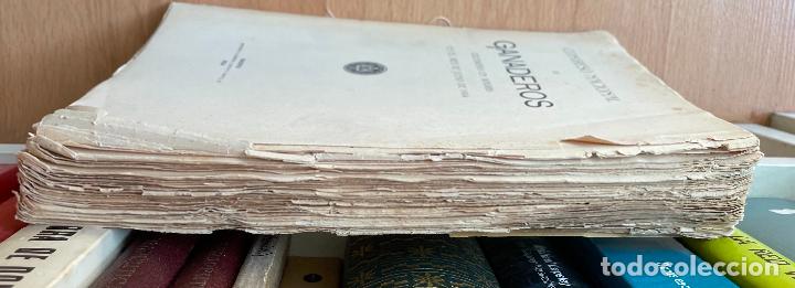 Libros antiguos: CONGRESO NACIONAL DE GANADEROS, 1904 - Foto 3
