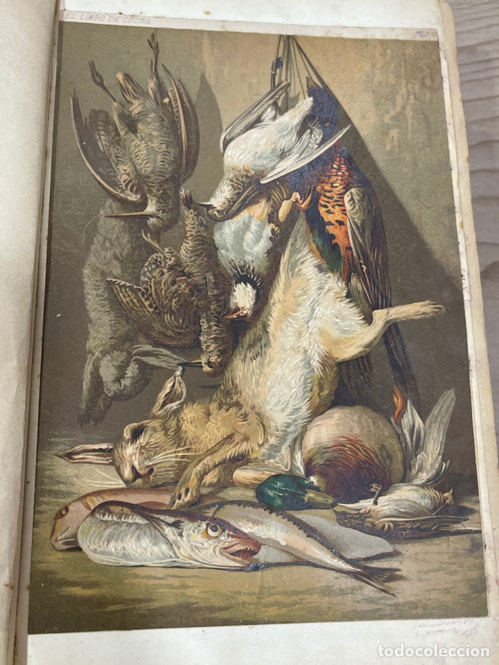 Libros antiguos: L- El libro de cocina. Jules Gouff&eacute;. 1885 - Foto 9