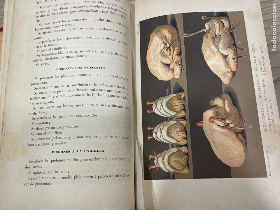 Libros antiguos: L- El libro de cocina. Jules Gouff&eacute;. 1885 - Foto 21