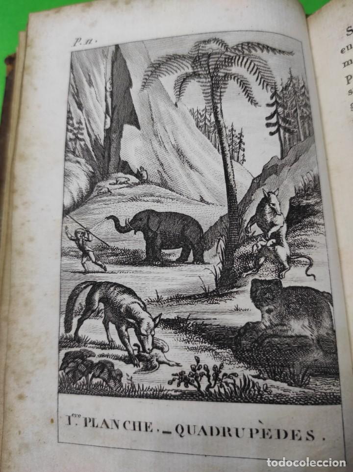Libros antiguos: 1824 LES ANIMAUX INDUSTRIEUX - Foto 8