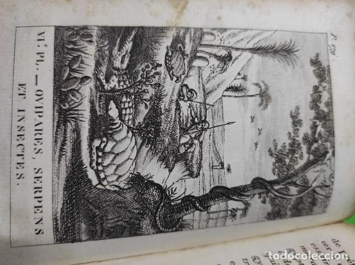 Libros antiguos: 1824 LES ANIMAUX INDUSTRIEUX - Foto 13