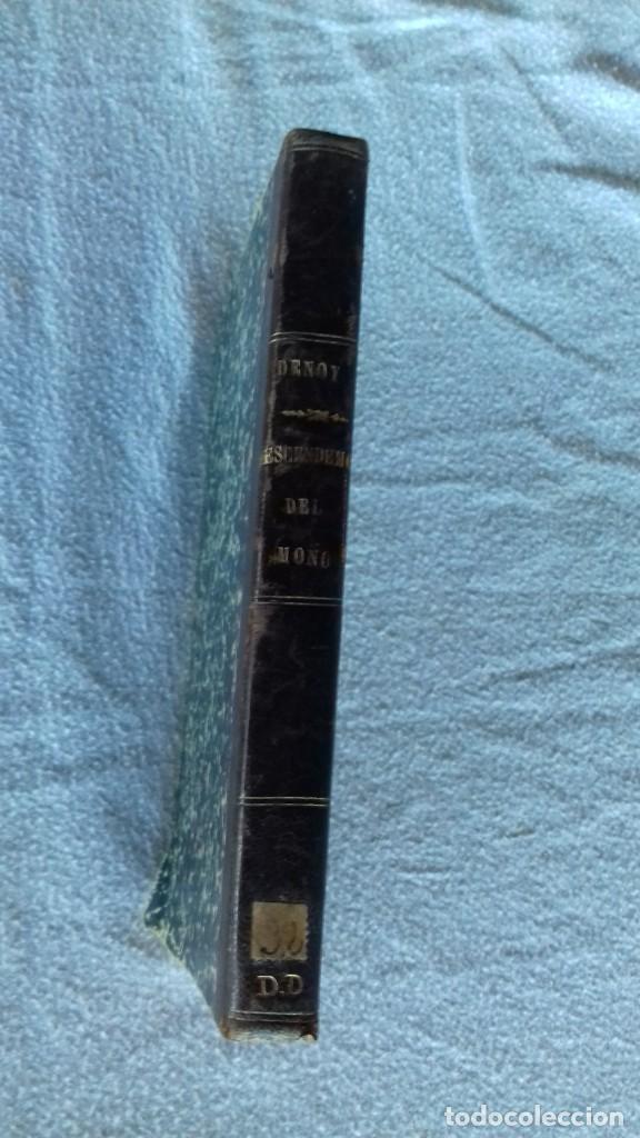 Libros antiguos: &iquest;Descendemos del mono? E. Denoy. 1906. - Foto 5